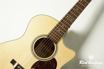 F120-GA Sitka Spruce / African Mahogany